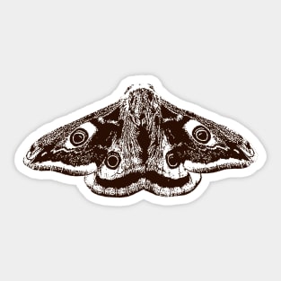 Moth sticker vintage Sticker